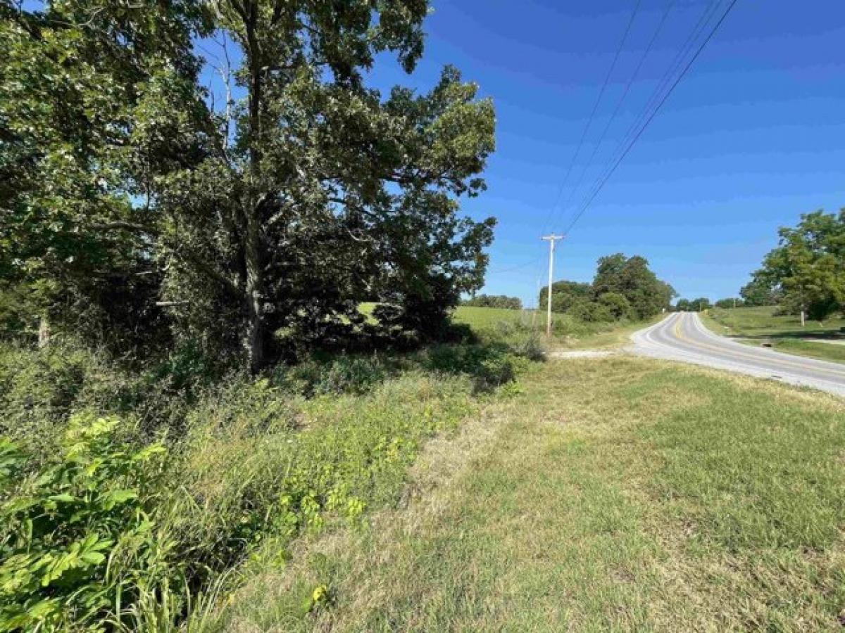 Picture of Residential Land For Sale in Viola, Arkansas, United States