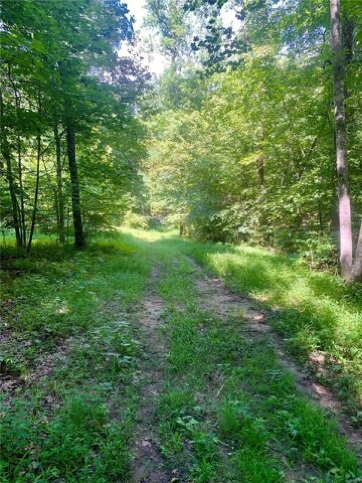 Picture of Residential Land For Sale in Burfordville, Missouri, United States