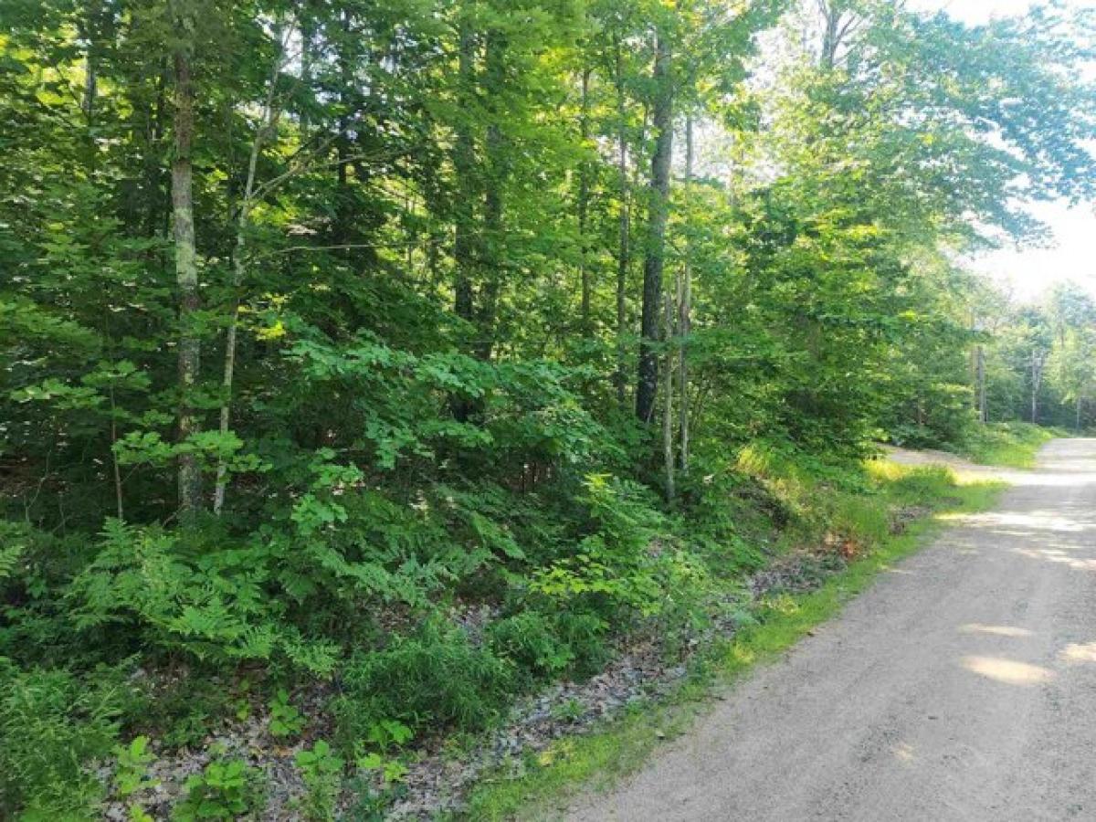 Picture of Residential Land For Sale in Madison, New Hampshire, United States