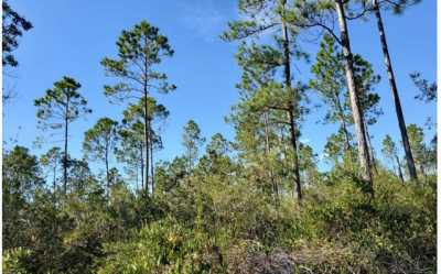 Residential Land For Sale in Lee, Florida