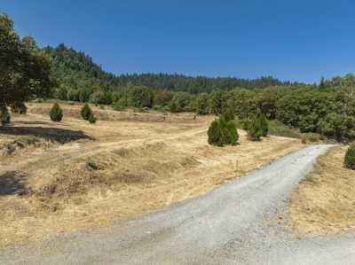 Home For Sale in Wolf Creek, Oregon