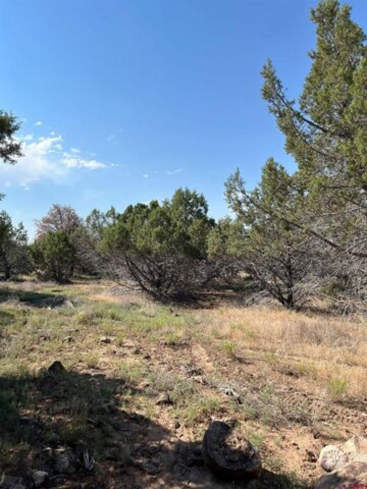 Picture of Home For Sale in Cedaredge, Colorado, United States