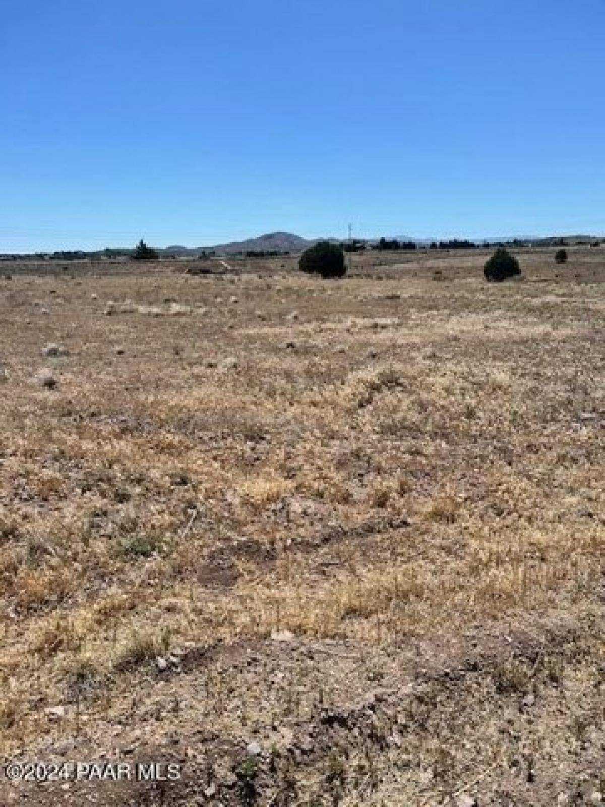 Picture of Residential Land For Sale in Paulden, Arizona, United States