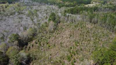 Residential Land For Sale in Lumberton, Mississippi