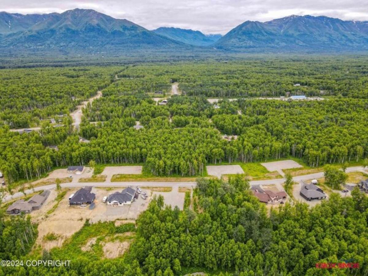 Picture of Residential Land For Sale in Palmer, Alaska, United States