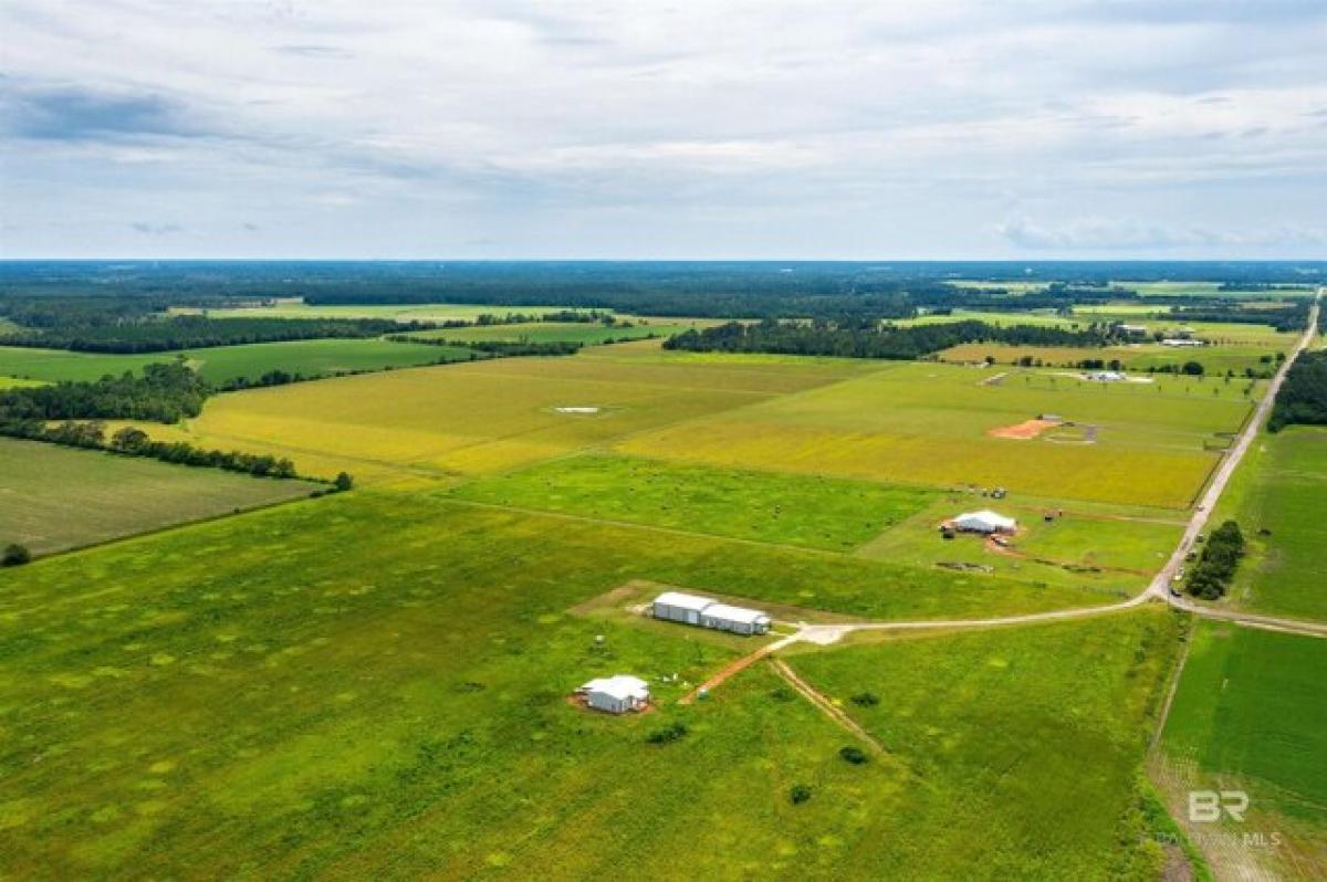 Picture of Residential Land For Sale in Foley, Alabama, United States