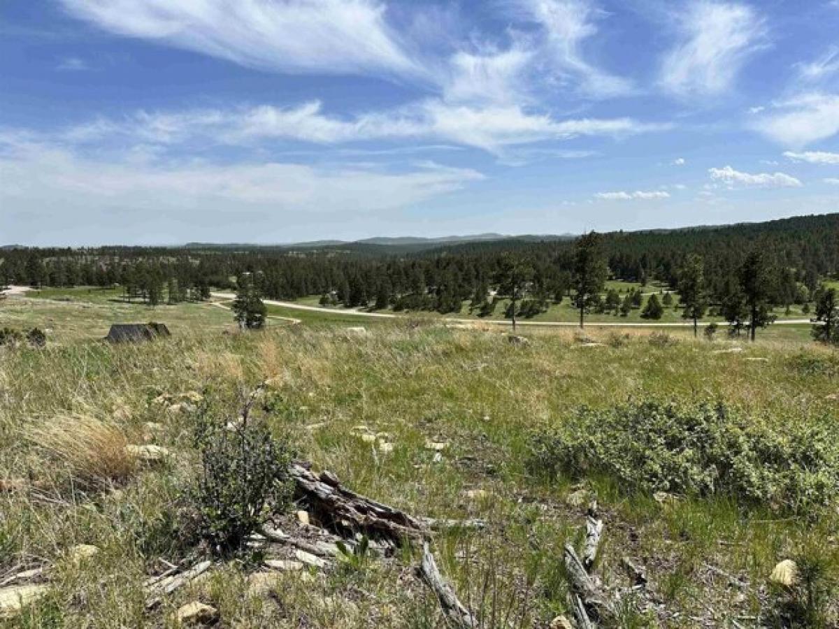 Picture of Residential Land For Sale in Keystone, South Dakota, United States