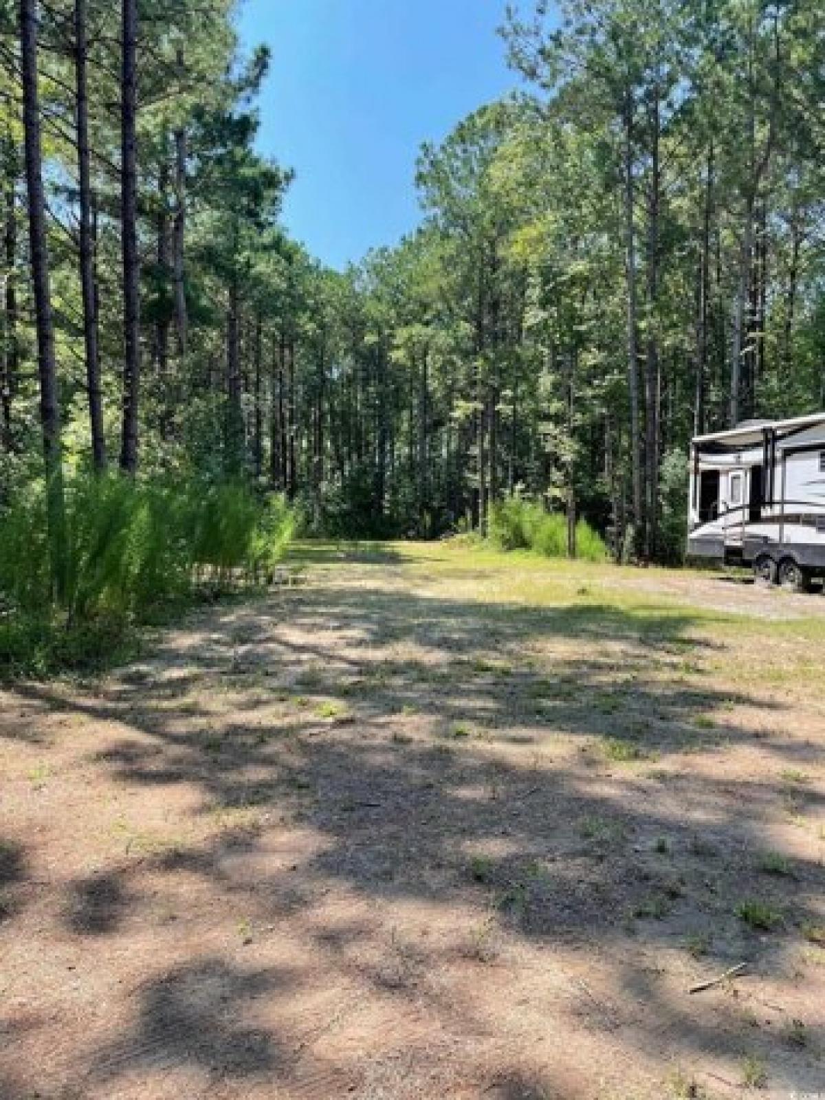 Picture of Residential Land For Sale in Chadbourn, North Carolina, United States