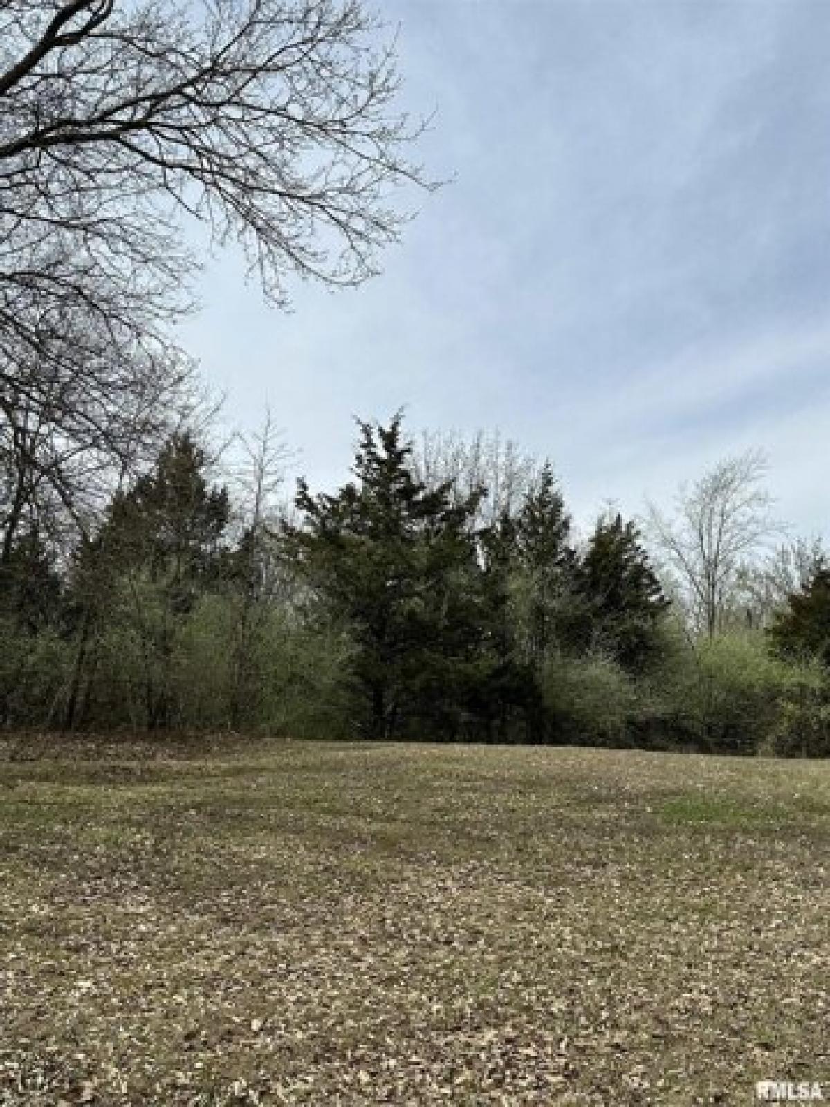 Picture of Residential Land For Sale in Centralia, Illinois, United States