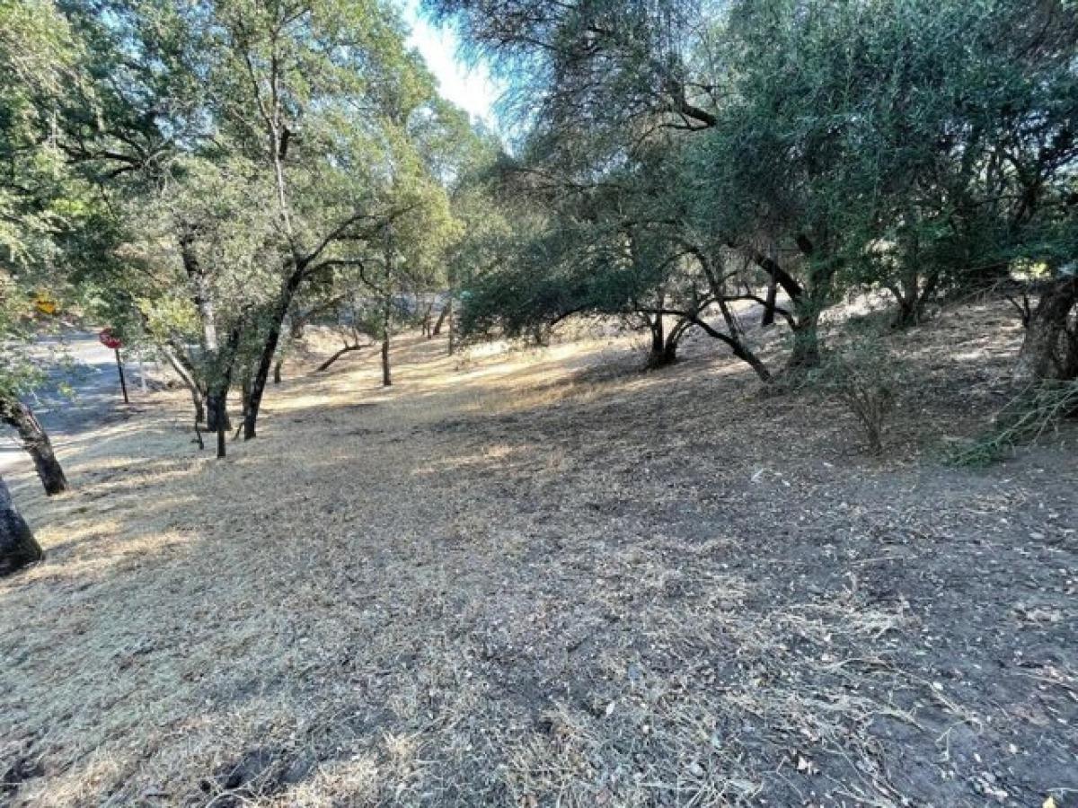 Picture of Residential Land For Sale in Fair Oaks, California, United States