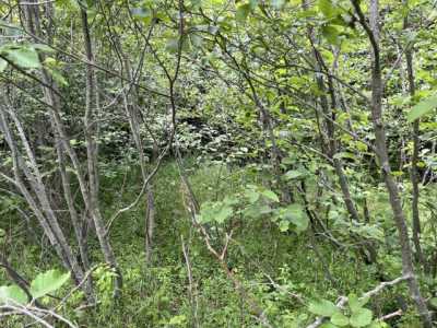 Residential Land For Sale in Milford, Maine