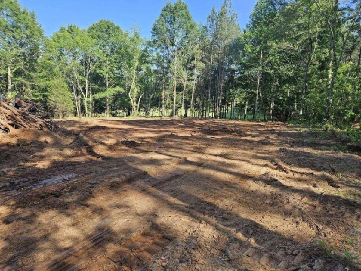 Picture of Residential Land For Sale in Chesnee, South Carolina, United States