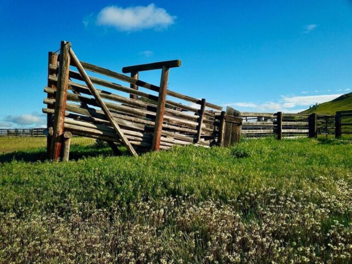 Picture of Residential Land For Sale in Townsend, Montana, United States