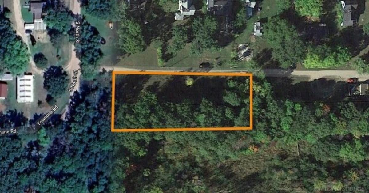 Picture of Residential Land For Sale in White Cloud, Michigan, United States