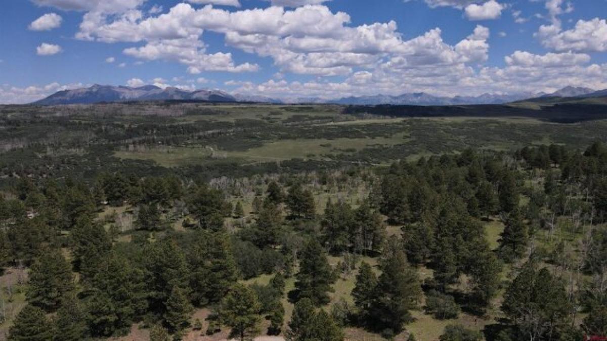 Picture of Residential Land For Sale in Placerville, Colorado, United States