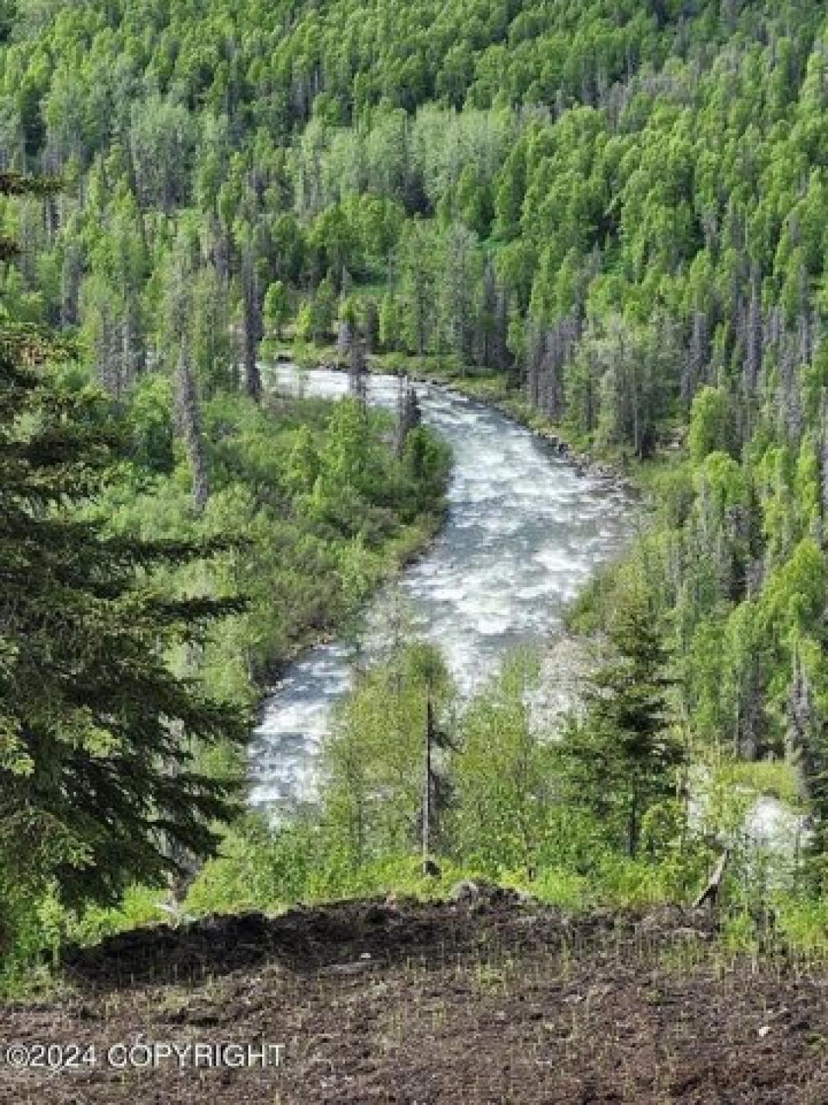 Picture of Residential Land For Sale in Willow, Alaska, United States