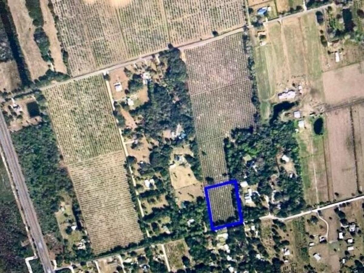 Picture of Residential Land For Sale in Mims, Florida, United States