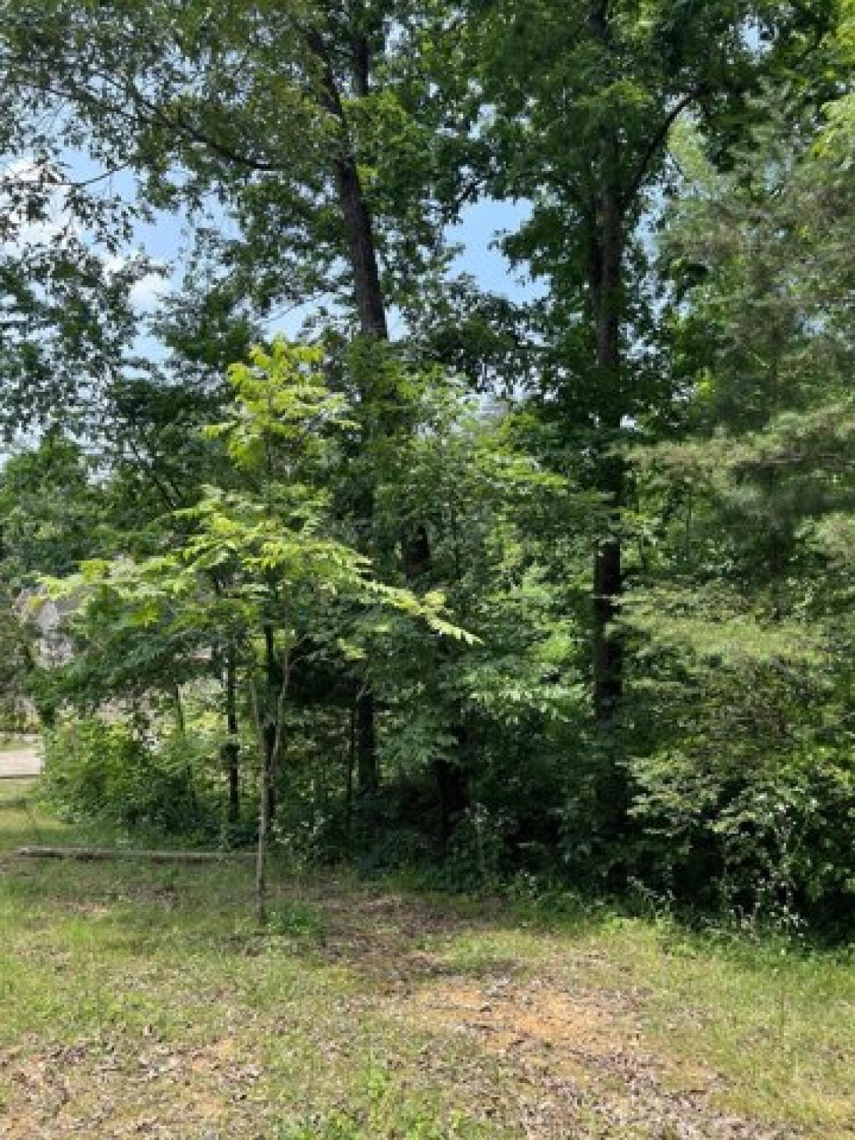 Picture of Residential Land For Sale in Hixson, Tennessee, United States