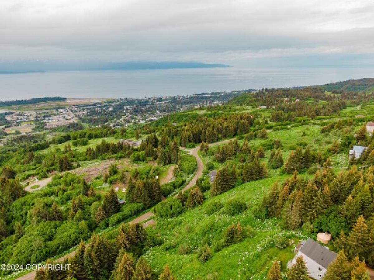 Picture of Residential Land For Sale in Homer, Alaska, United States