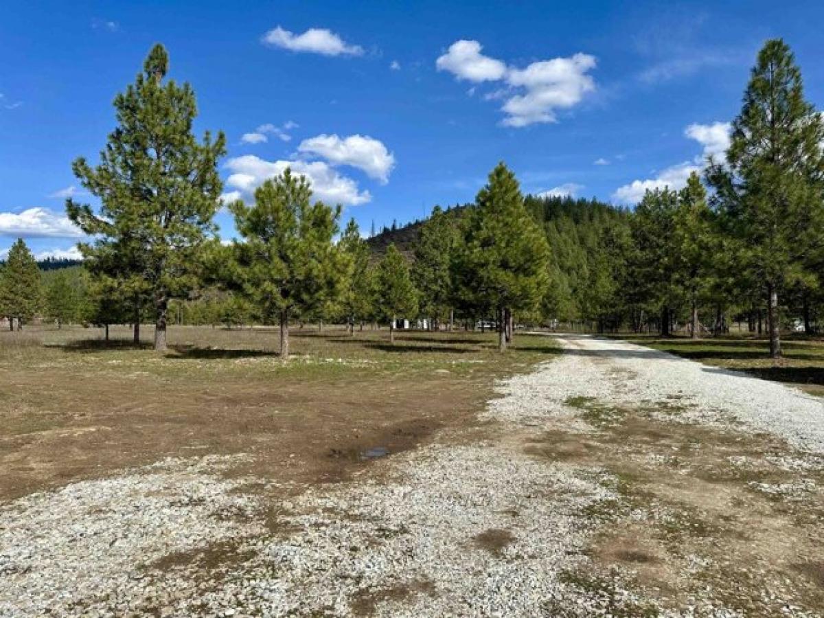 Picture of Home For Sale in Springdale, Washington, United States