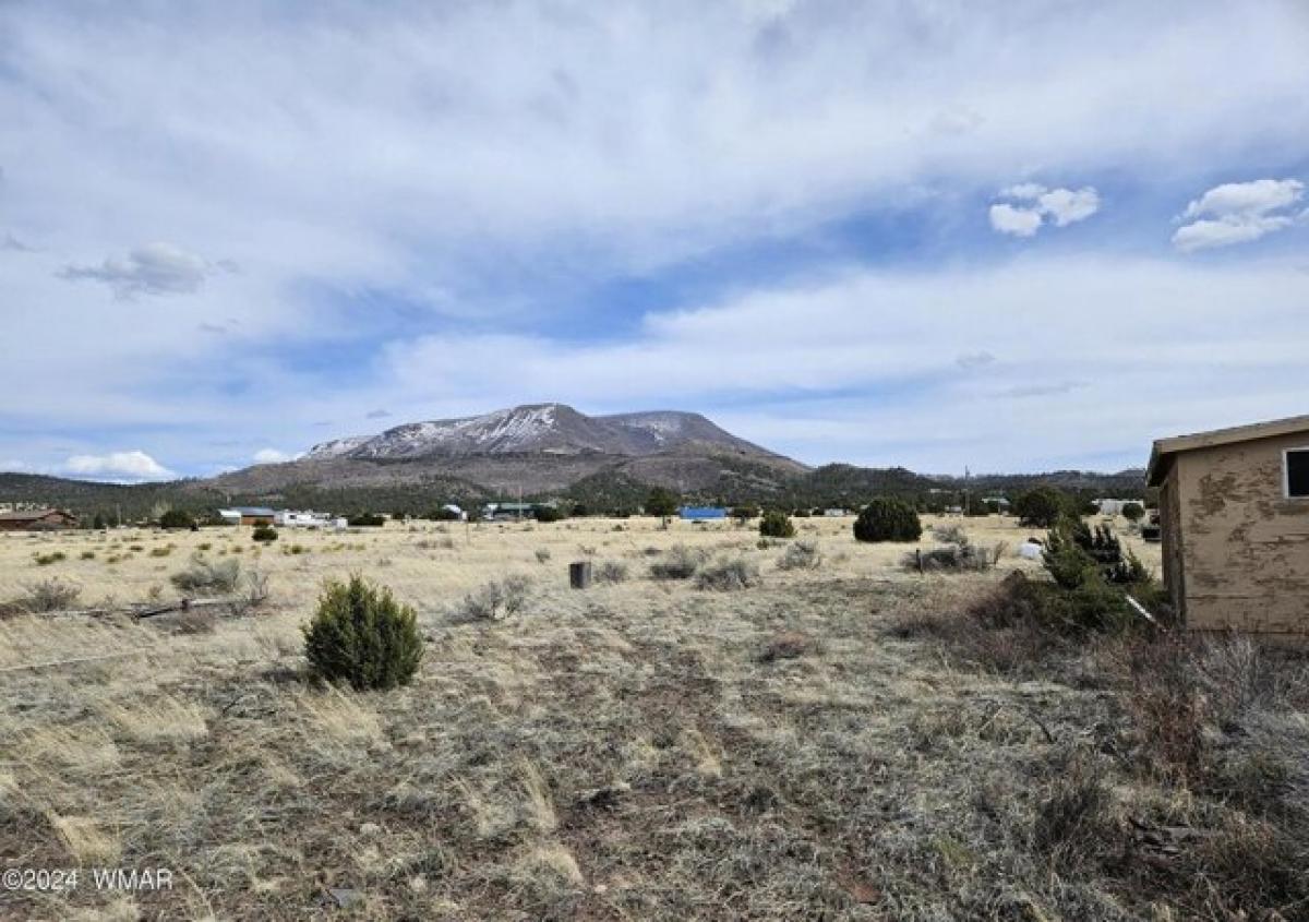 Picture of Residential Land For Sale in Nutrioso, Arizona, United States