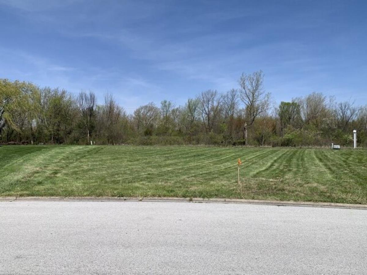 Picture of Residential Land For Sale in Lynwood, Illinois, United States