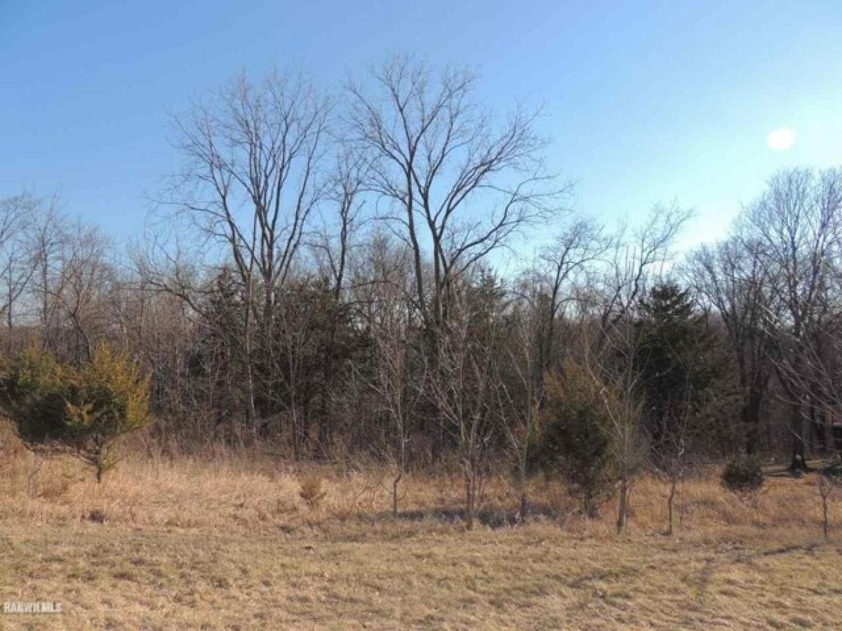 Picture of Residential Land For Sale in Galena, Illinois, United States