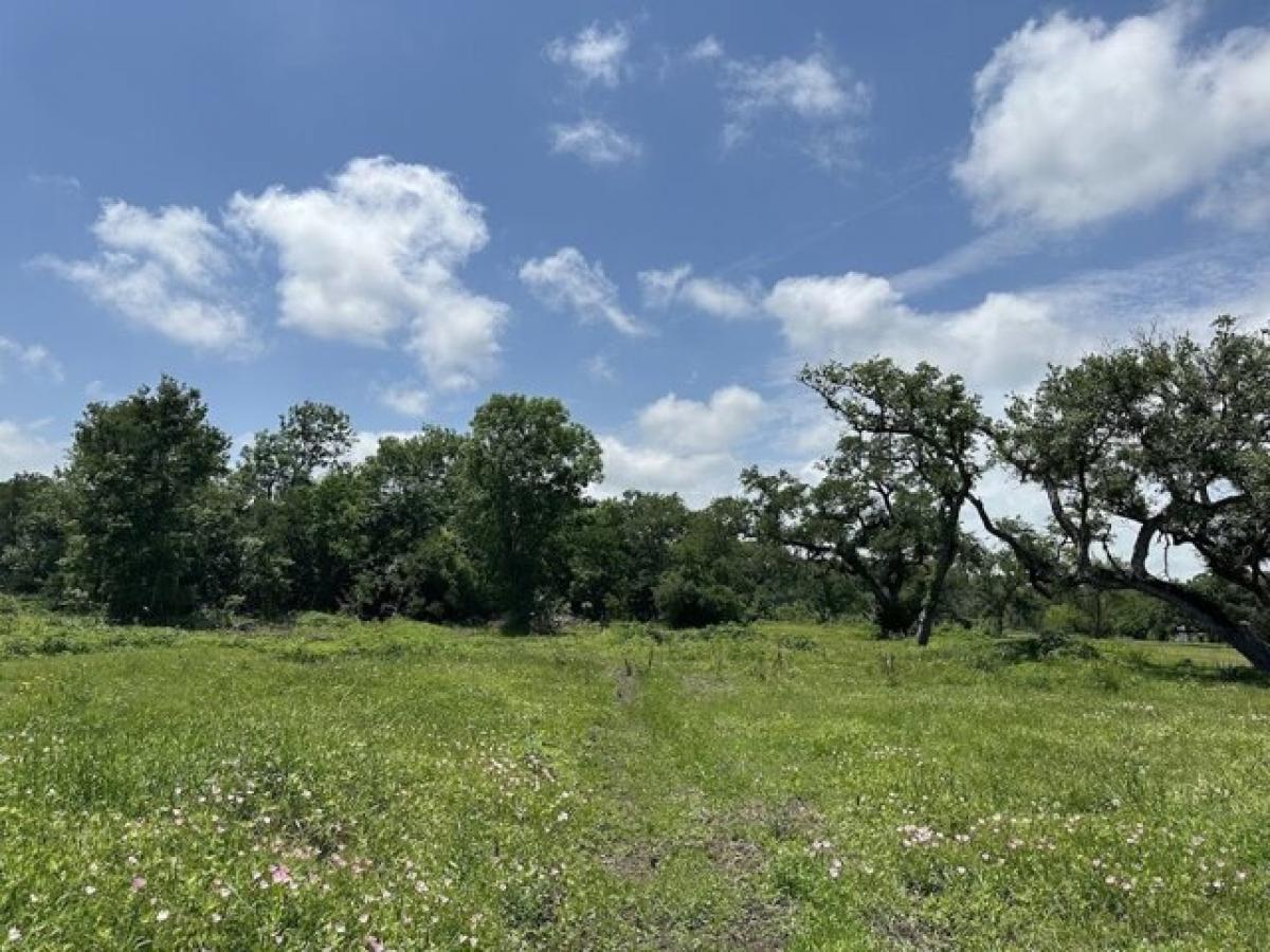 Picture of Residential Land For Sale in Brazoria, Texas, United States