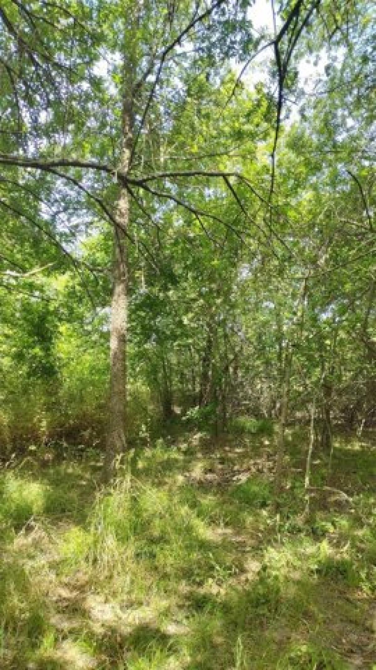 Picture of Residential Land For Sale in Royse City, Texas, United States