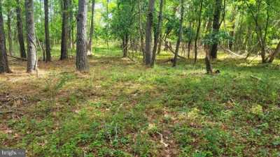 Residential Land For Sale in Deal Island, Maryland