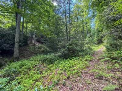 Residential Land For Sale in Horse Shoe, North Carolina