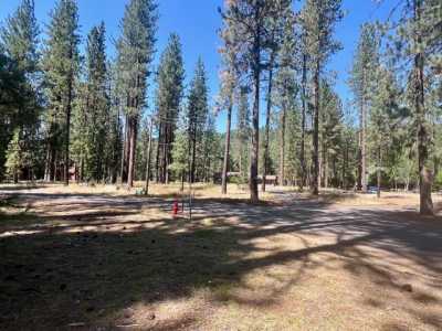 Residential Land For Sale in Blairsden, California