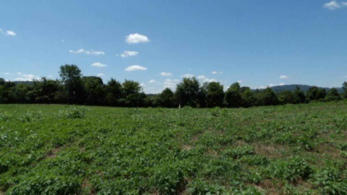 Picture of Residential Land For Sale in Rock Island, Tennessee, United States