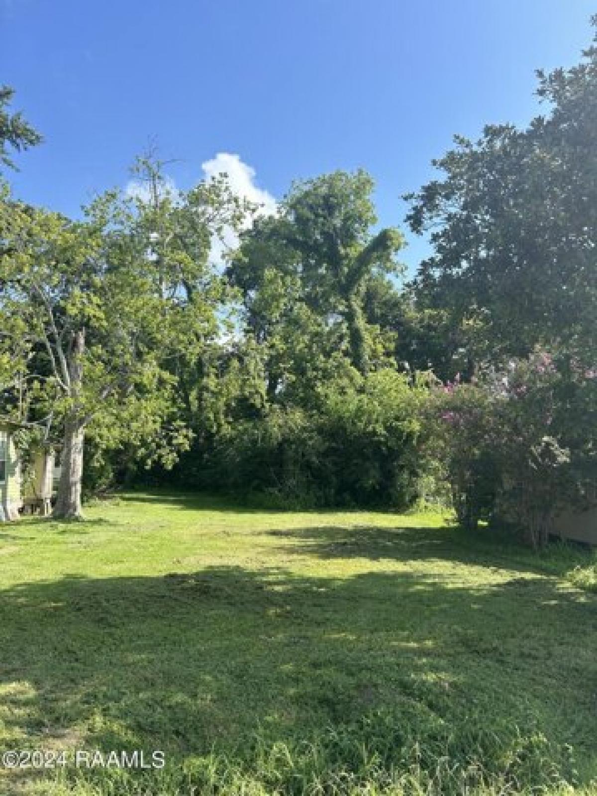 Picture of Residential Land For Sale in Rayne, Louisiana, United States