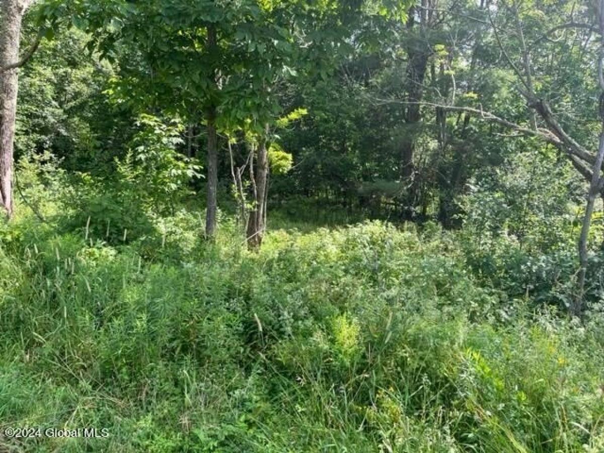 Picture of Residential Land For Sale in Middleburgh, New York, United States