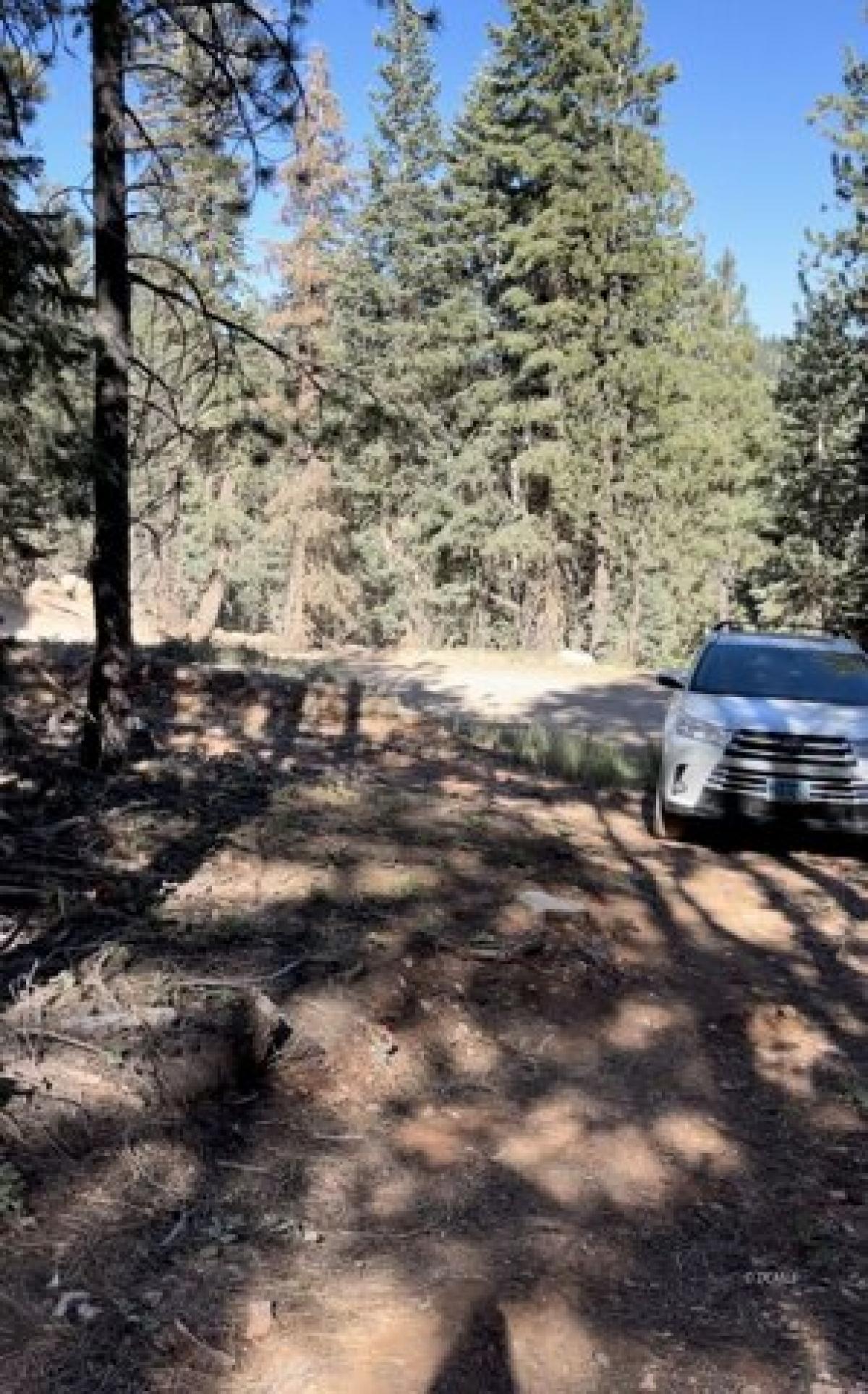 Picture of Residential Land For Sale in Duck Creek Village, Utah, United States