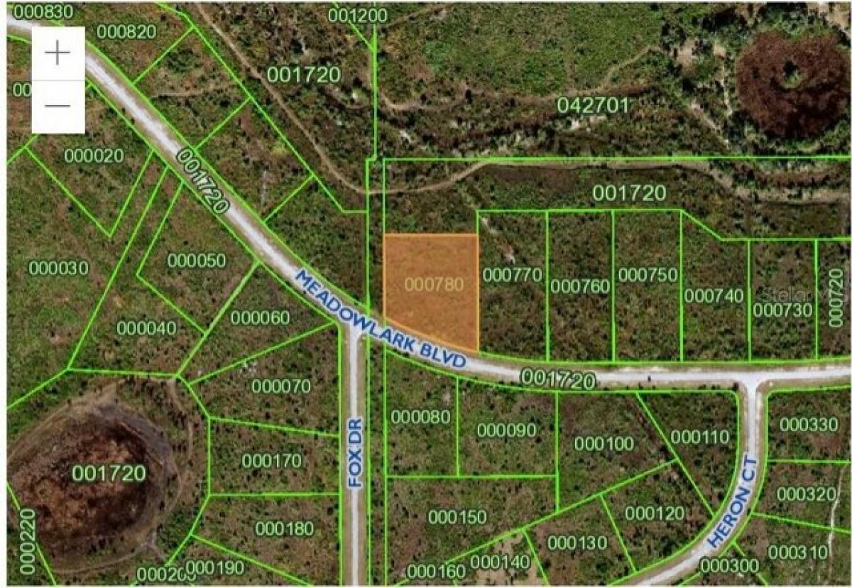 Picture of Residential Land For Sale in Lake Wales, Florida, United States