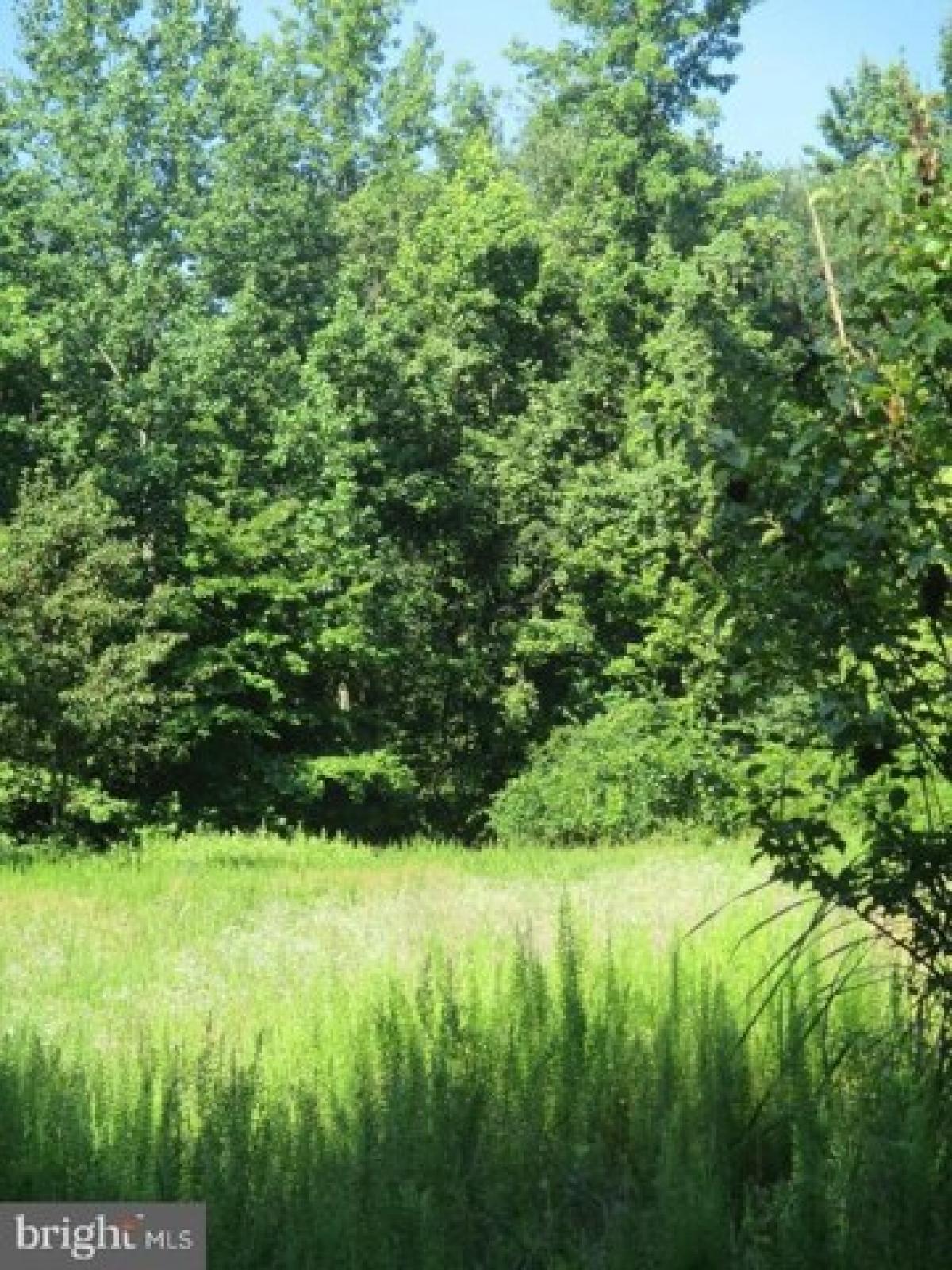 Picture of Residential Land For Sale in Glen Burnie, Maryland, United States