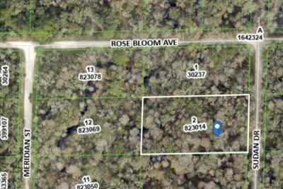 Residential Land For Sale in Webster, Florida