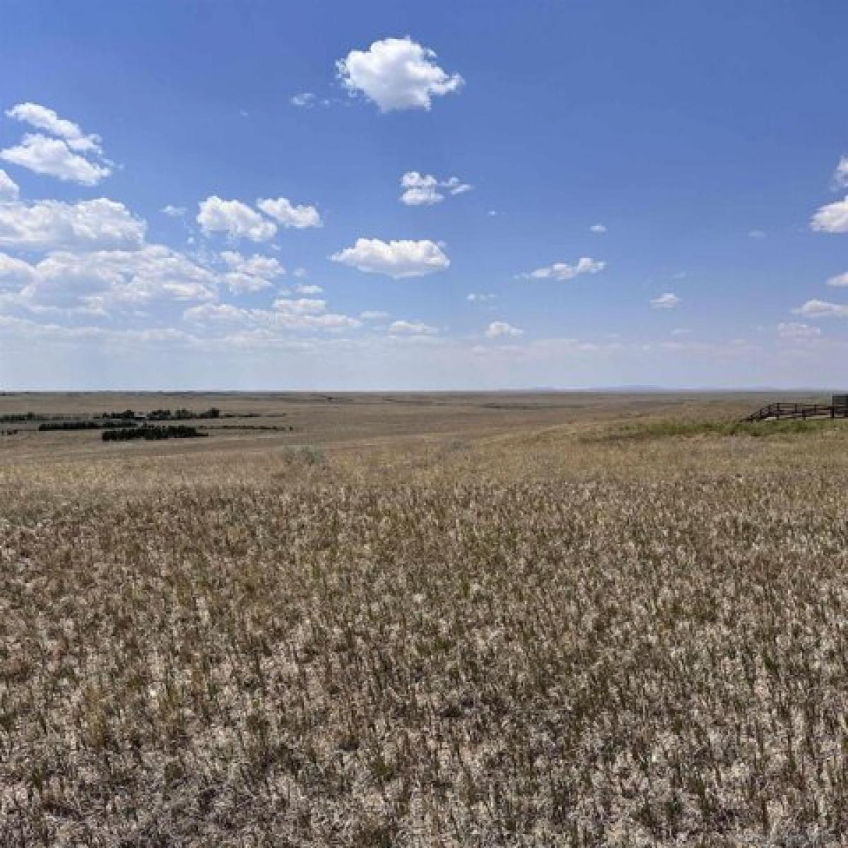 Picture of Residential Land For Sale in Cheyenne, Wyoming, United States