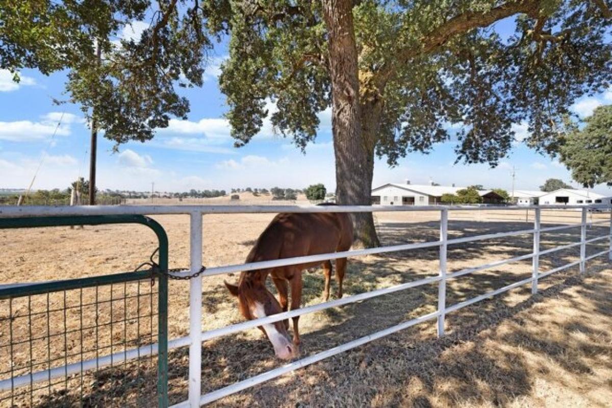 Picture of Home For Sale in Clements, California, United States