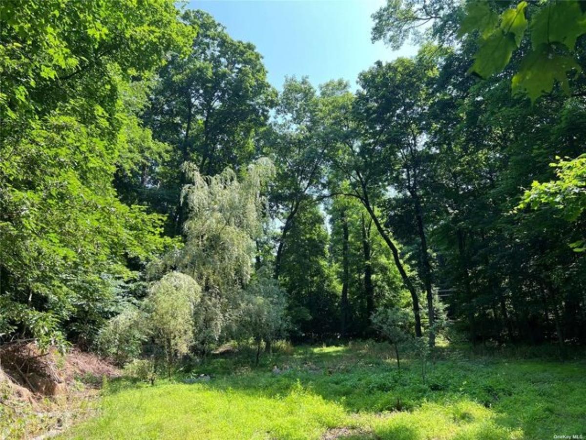 Picture of Residential Land For Sale in Locust Valley, New York, United States