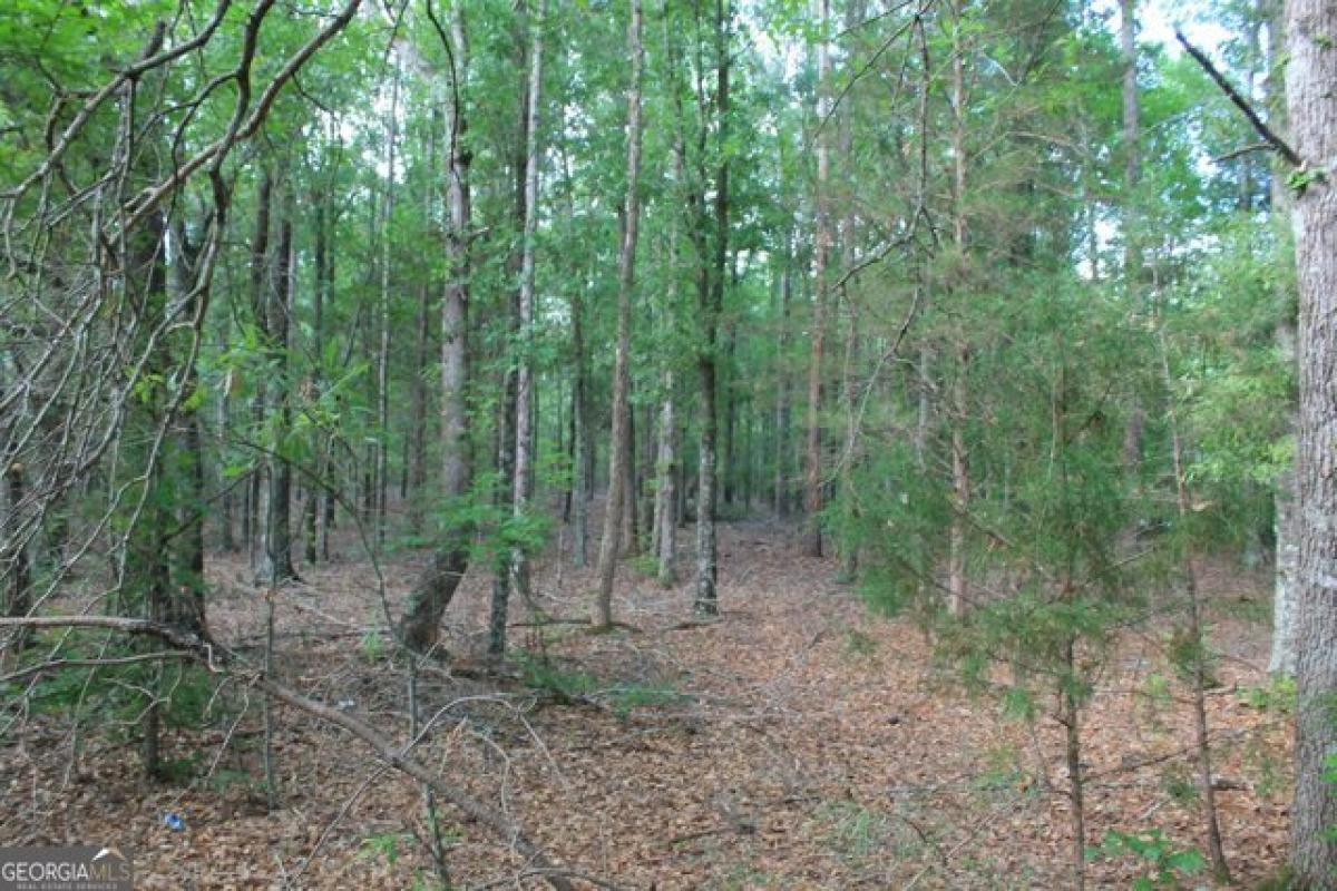 Picture of Residential Land For Sale in Watkinsville, Georgia, United States