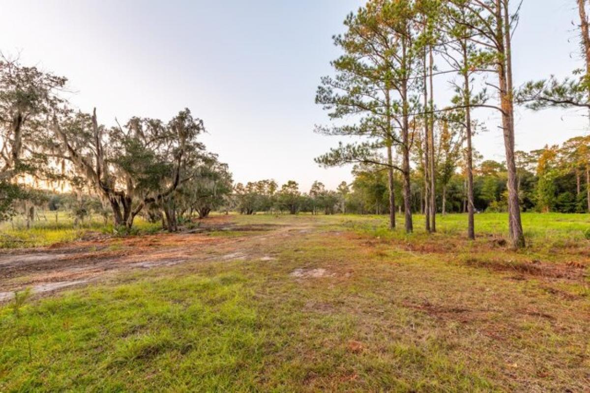 Picture of Residential Land For Sale in Hollywood, South Carolina, United States