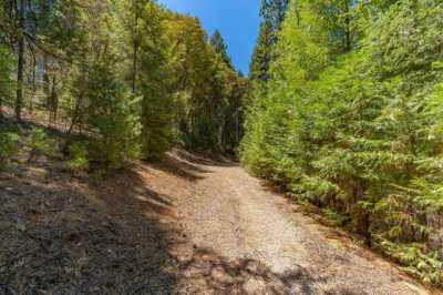 Residential Land For Sale in Pioneer, California