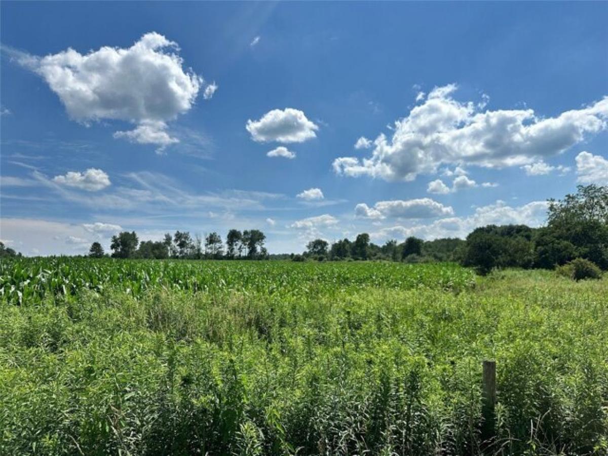 Picture of Residential Land For Sale in Conneautville, Pennsylvania, United States