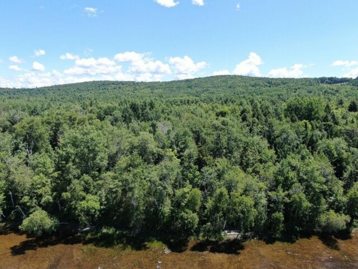 Picture of Residential Land For Sale in Danforth, Maine, United States