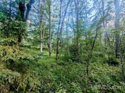 Residential Land For Sale in Iron River, Michigan