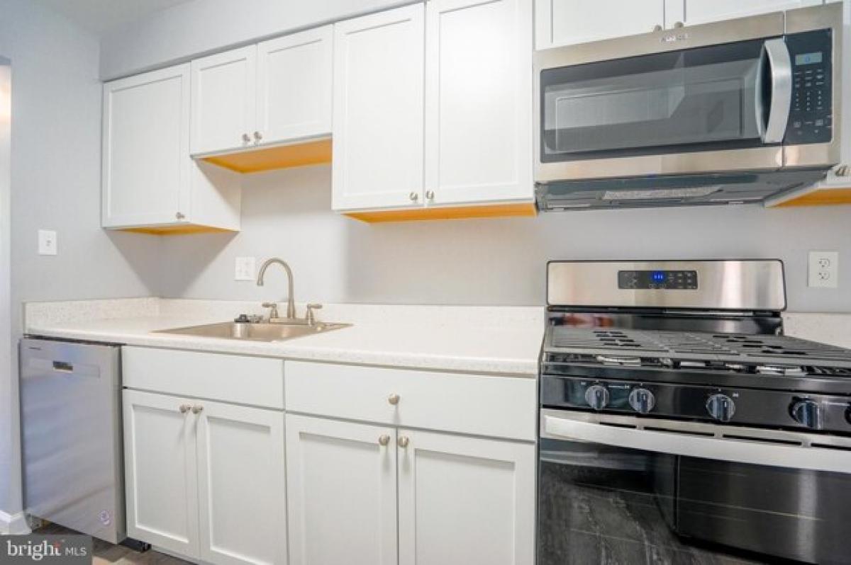 Picture of Apartment For Rent in Arlington, Virginia, United States