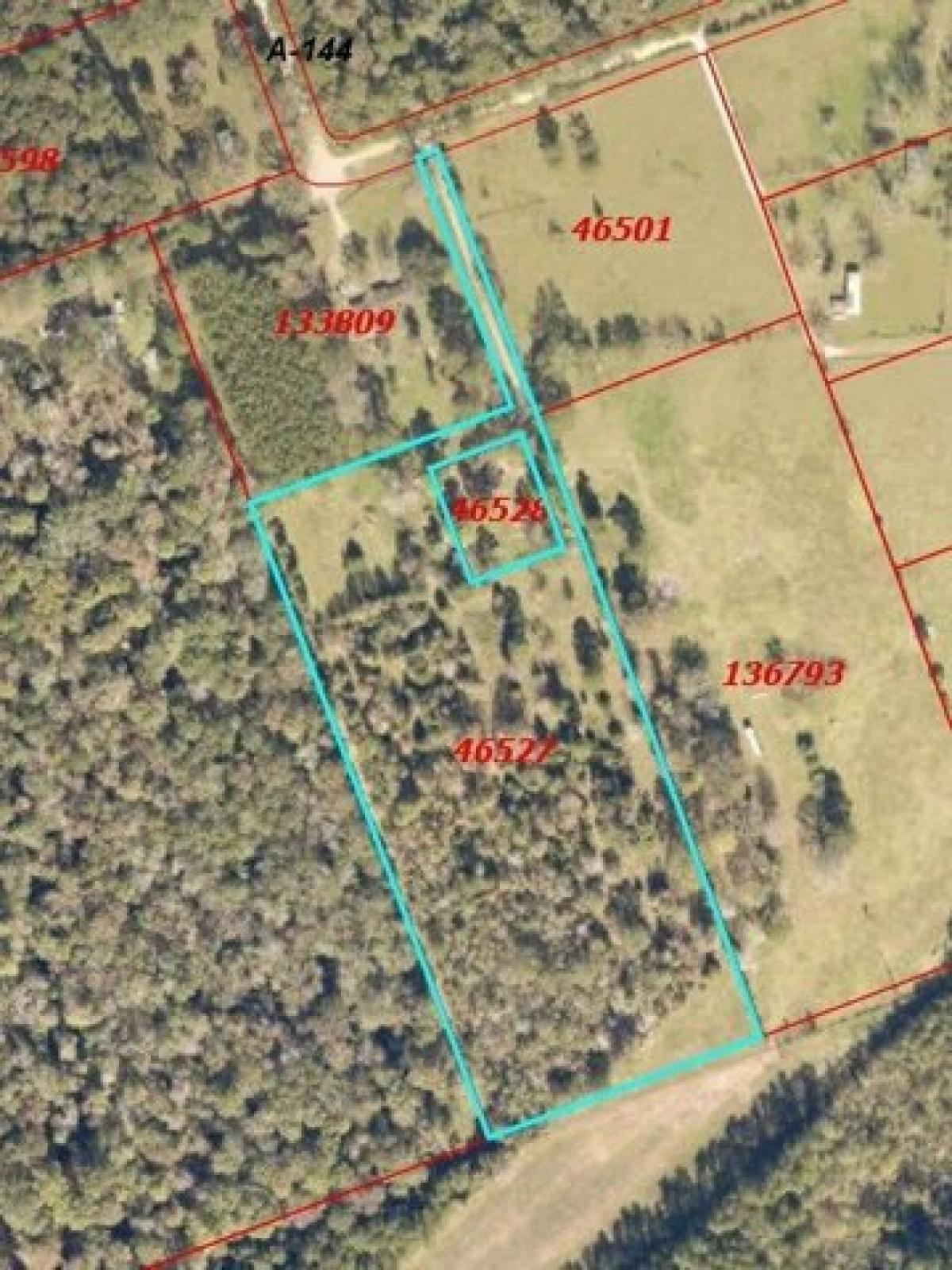 Picture of Residential Land For Sale in Shepherd, Texas, United States